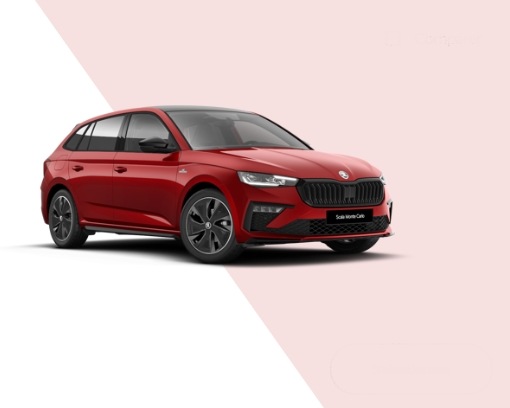 scala_monte_carlo_Skoda_Saint_denis_Skoda_Saint_ouen_l_aumône_NEUBAUER_skoda