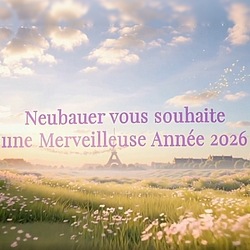 Vœux NEUBAUER 2026 : illustration symbolisant la force intérieure, le mouvement et le sens pour la nouvelle année