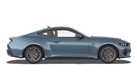 Mustang à Saint-Denis – Neubauer Le Village