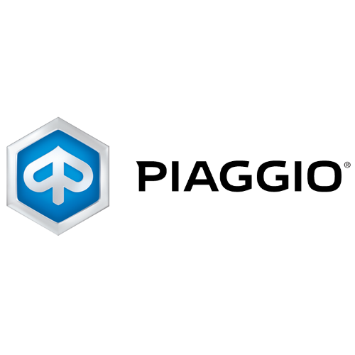 Piaggio NEUBAUER Groupe